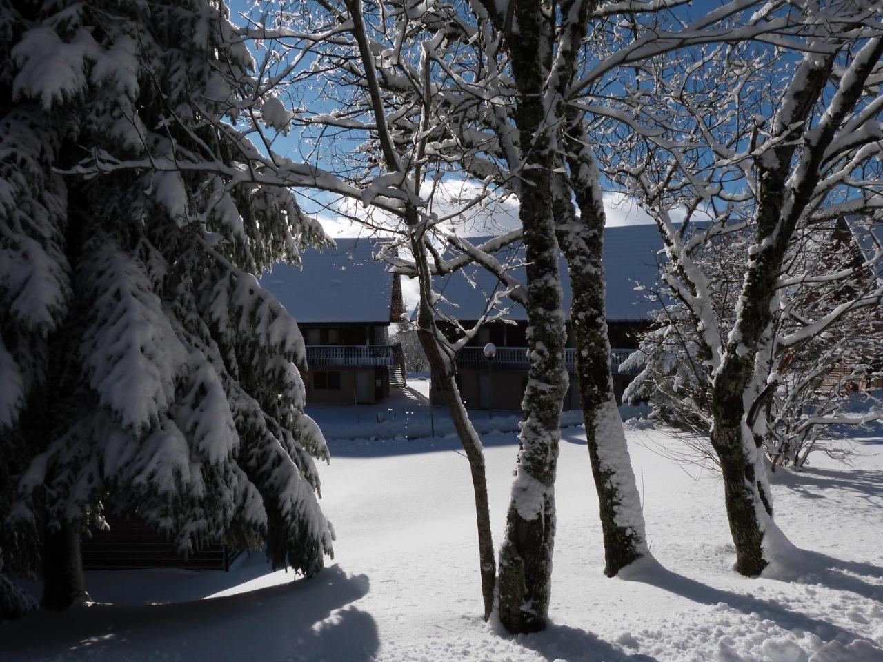 Residence Le Bois De La Reine Super Besse Exterior foto