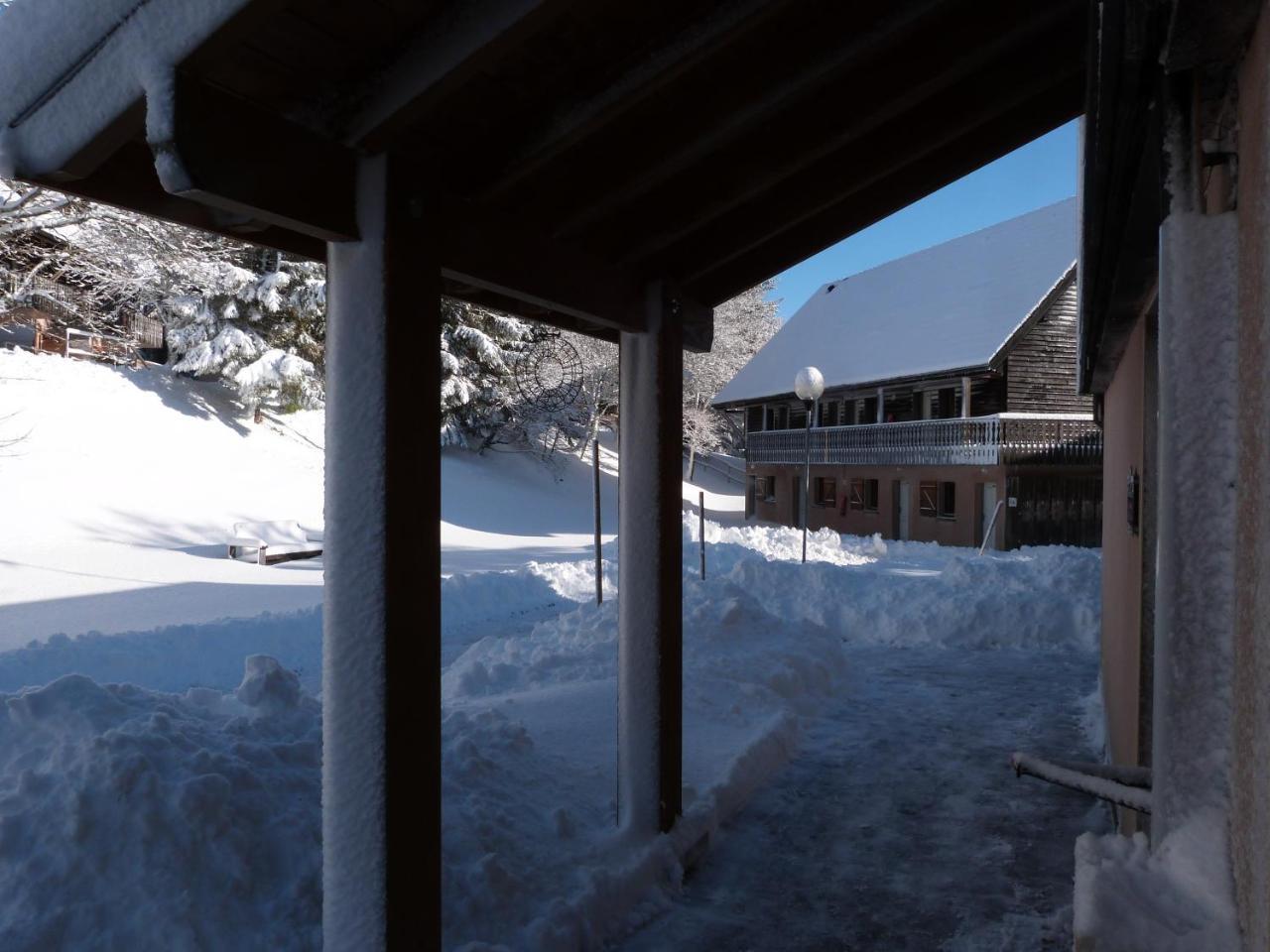 Residence Le Bois De La Reine Super Besse Exterior foto
