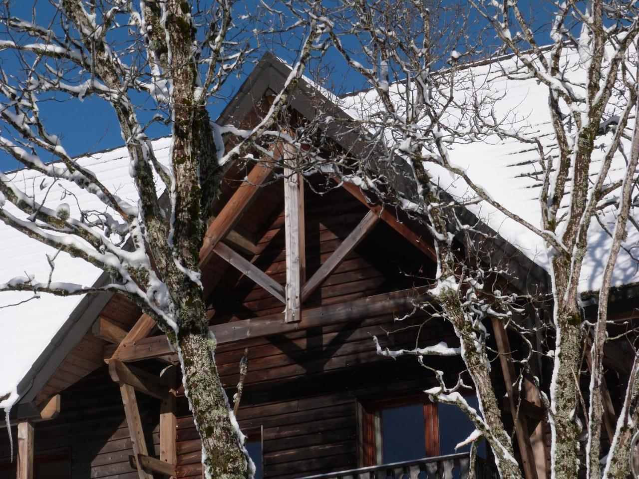 Residence Le Bois De La Reine Super Besse Exterior foto
