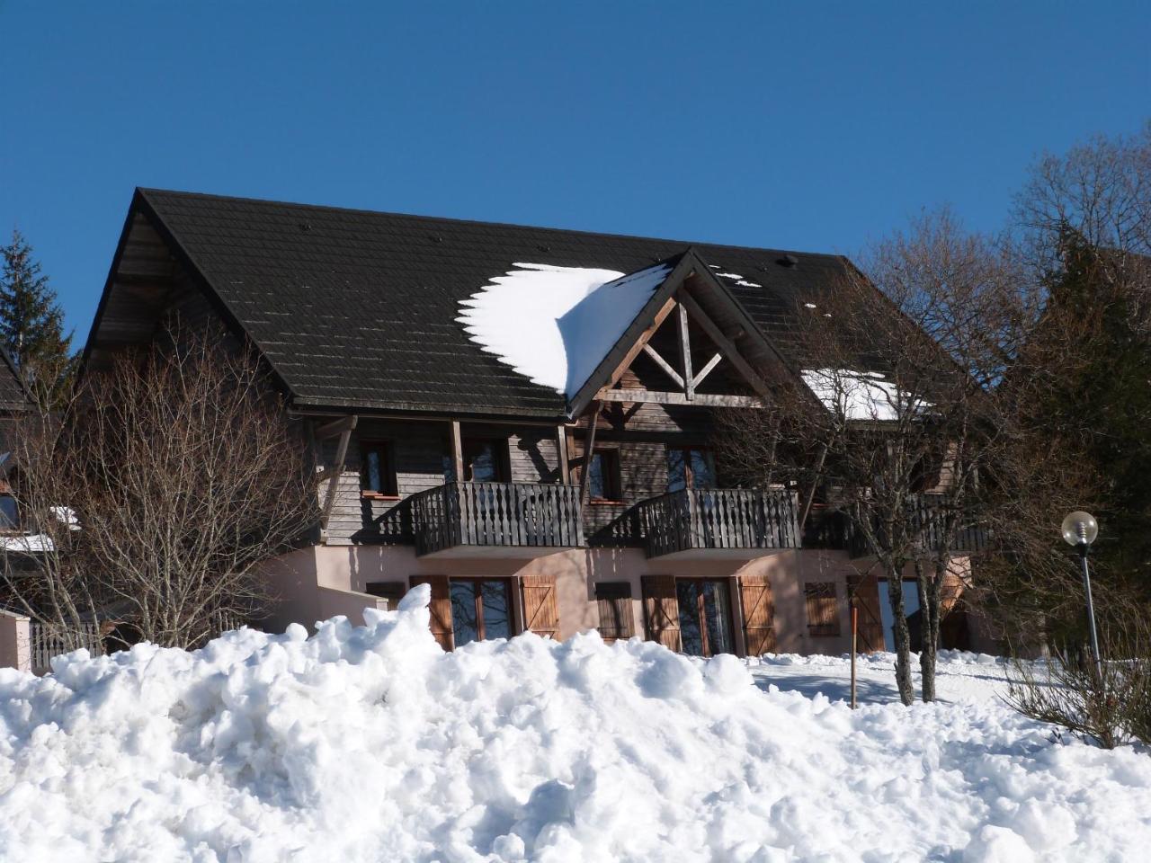 Residence Le Bois De La Reine Super Besse Exterior foto